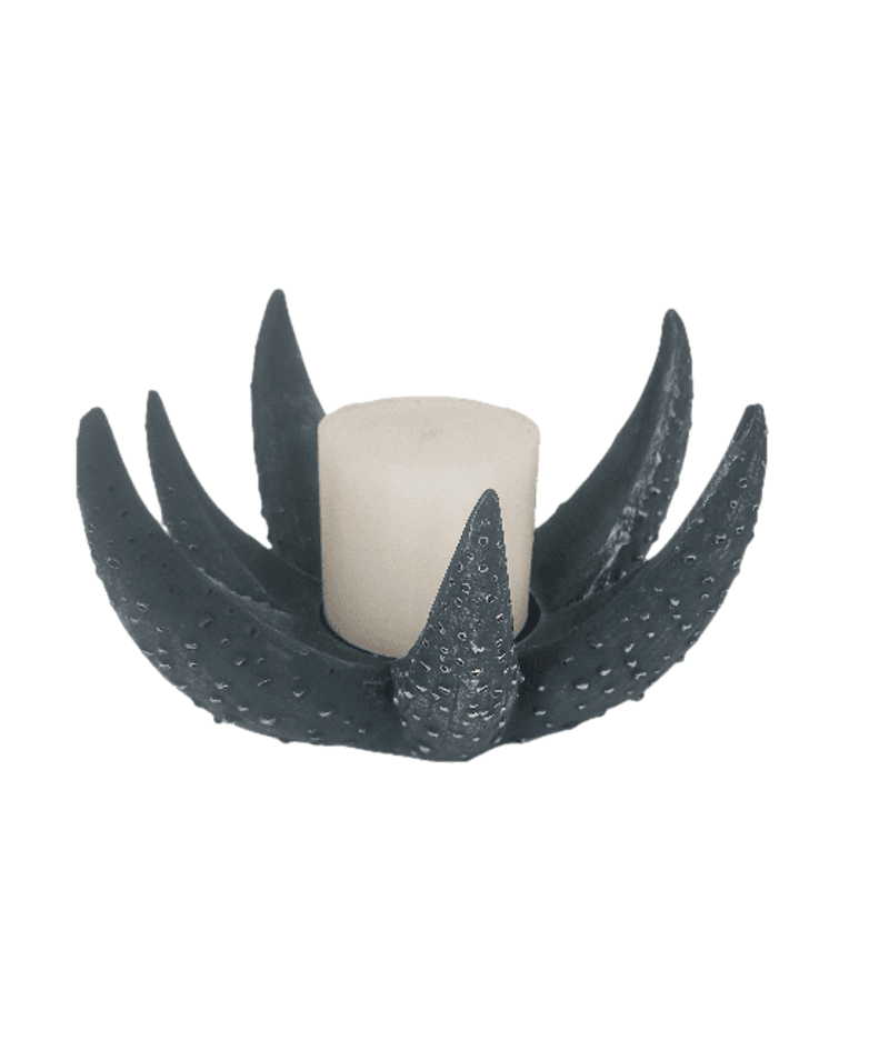 Aloe Candle Holder