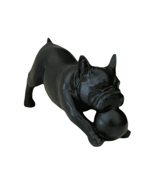 Bull Dog mini with ball