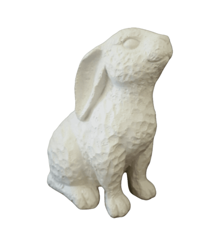 Bunny Dimple Sitting