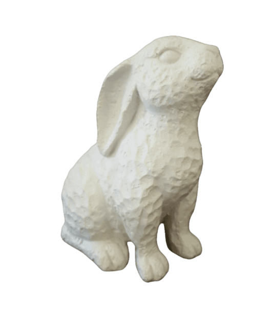 Bunny Dimple Sitting