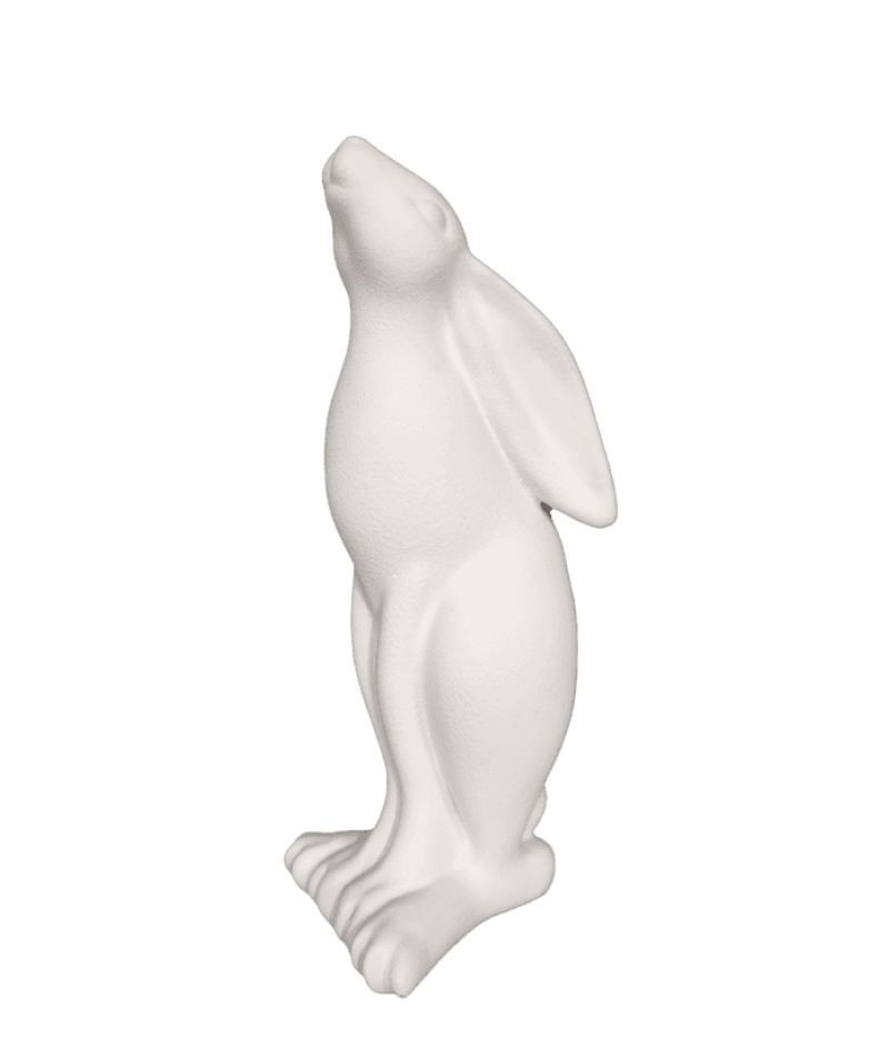 Bunny Long Ears Down