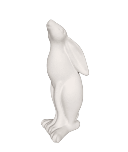 Bunny Long Ears Down