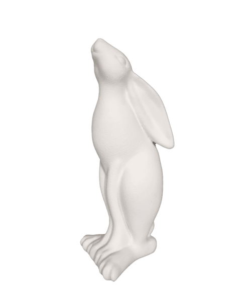 Bunny Long Ears Down