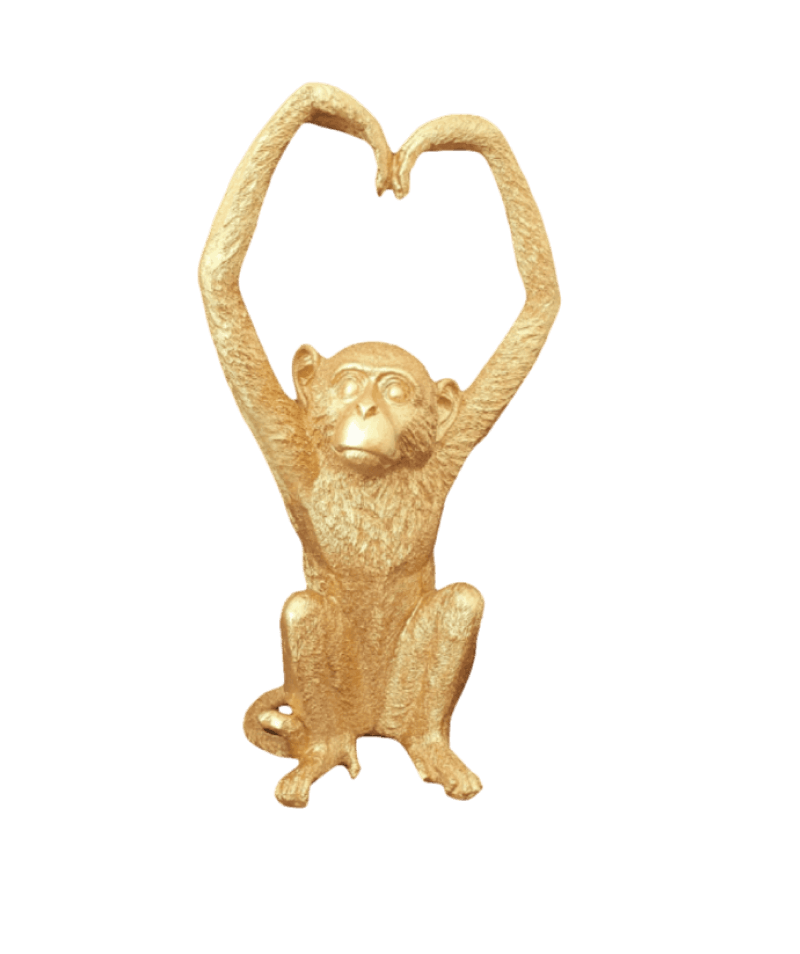 Monkey Heart