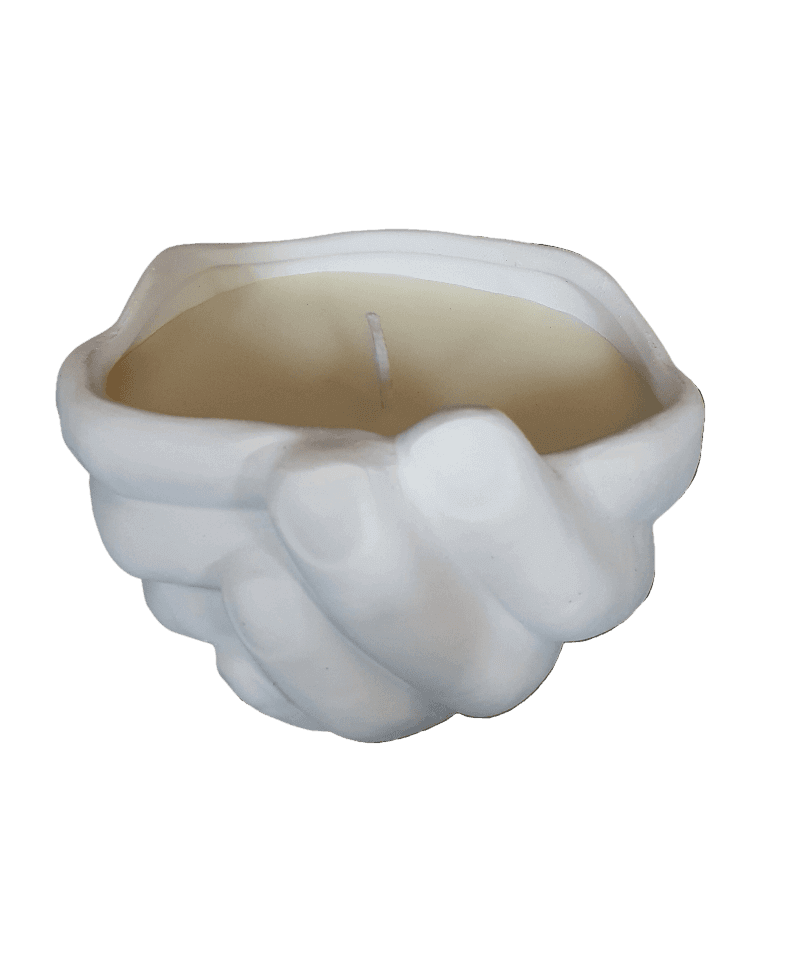 Candle in a shell-shaped holder on a black background