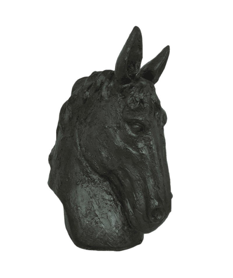 Horse Head