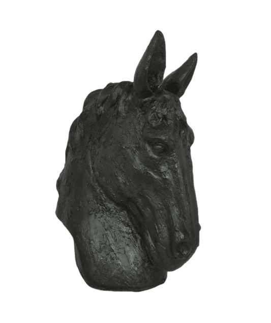 Horse Head
