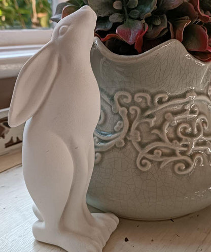 Bunny Long Ears Down