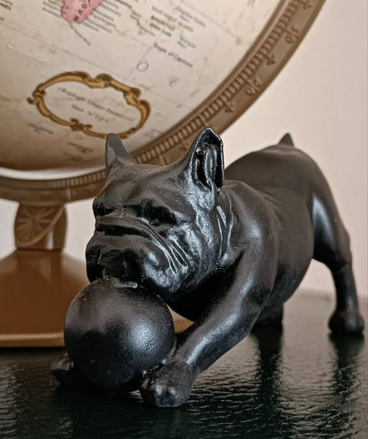Bull Dog mini with ball