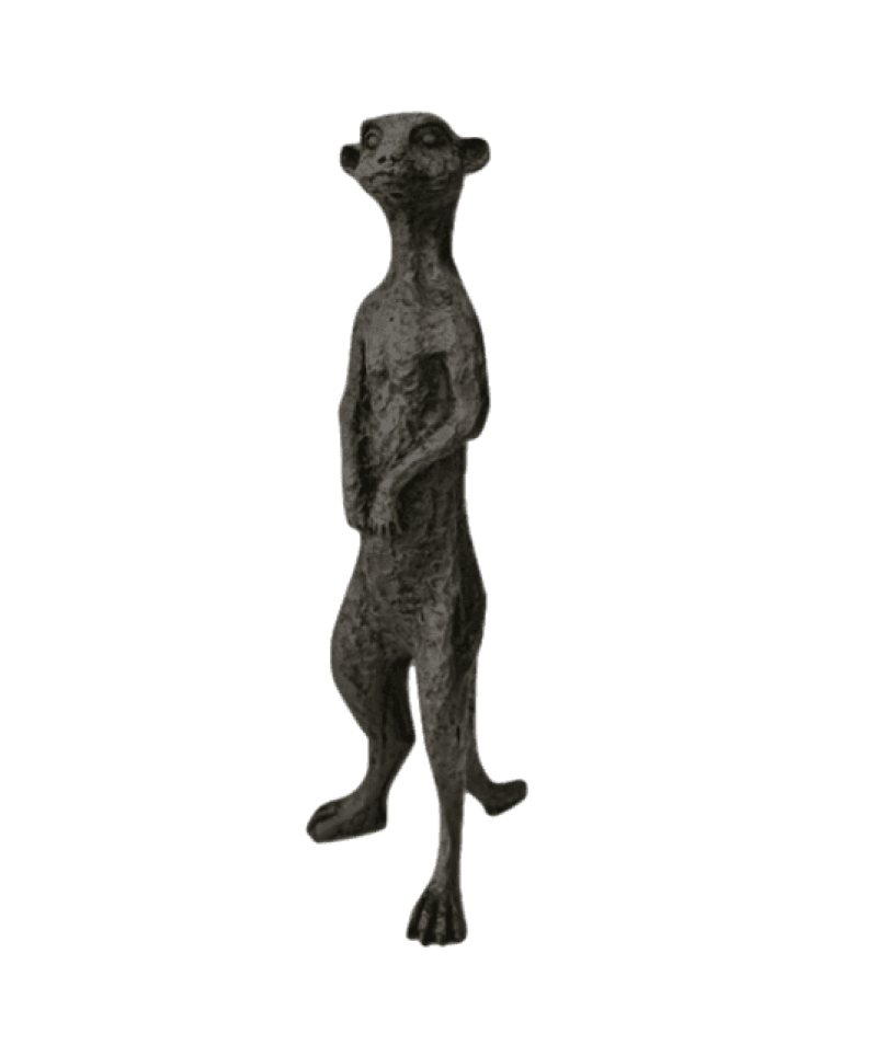 Meerkat