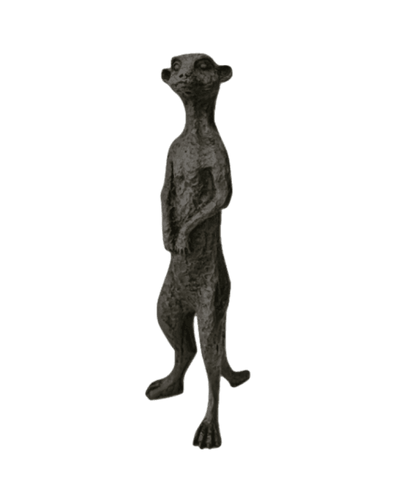 Meerkat