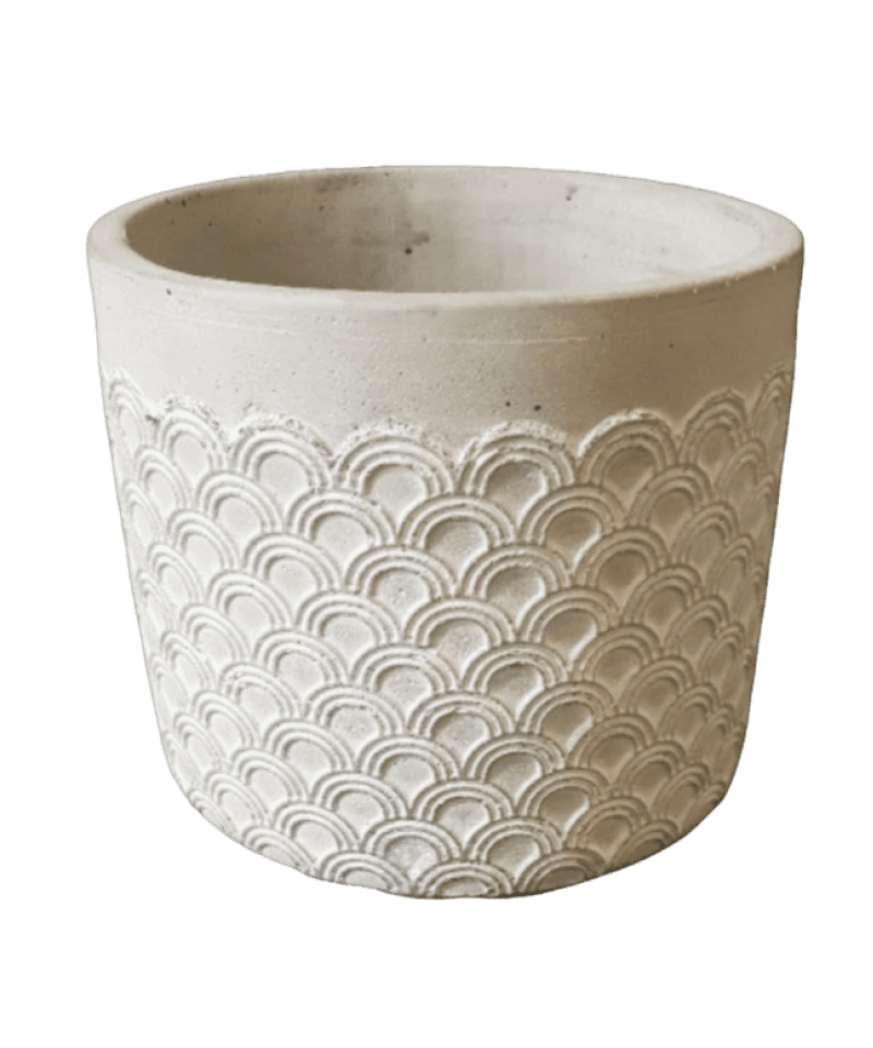 Scallop Planter