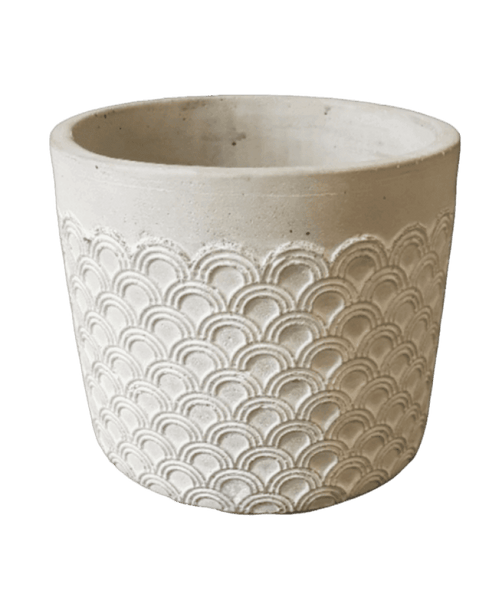 Scallop Planter