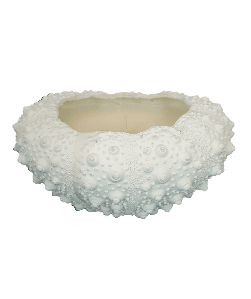 Sea Urchin Small Resin waxfill