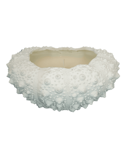 Sea Urchin Small Resin waxfill