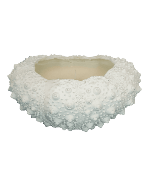 Sea Urchin Small Resin waxfill