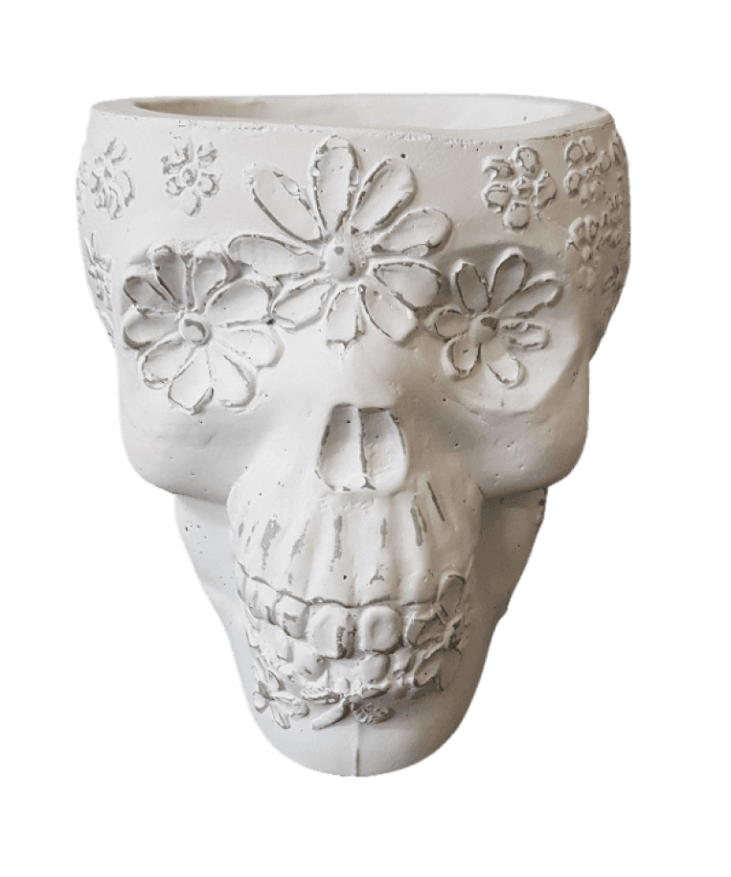 Skull Planter