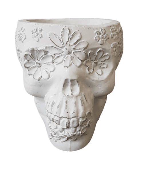 Skull Planter