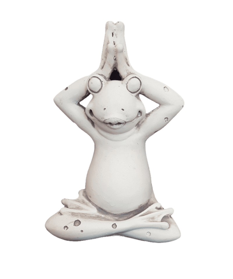 Yoga Frog