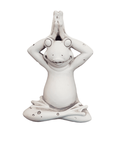Yoga Frog