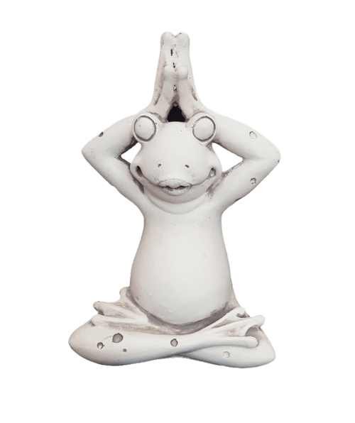 Yoga Frog