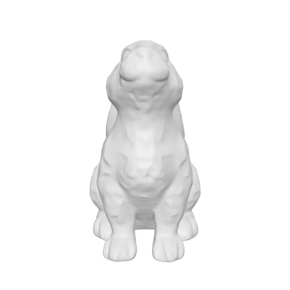 Bunny Dimple Sitting